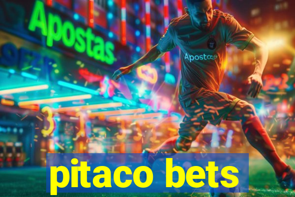 pitaco bets